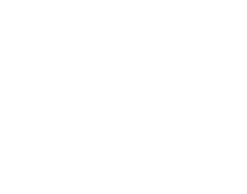 Village Bar